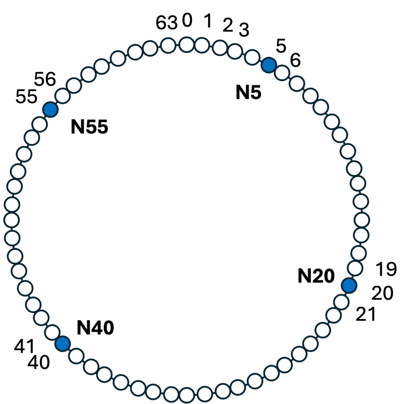 Chord Ring