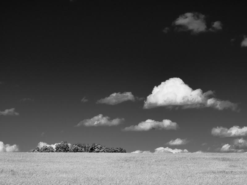 Field, Readington Township, New Jersey